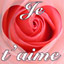 je t'aime
